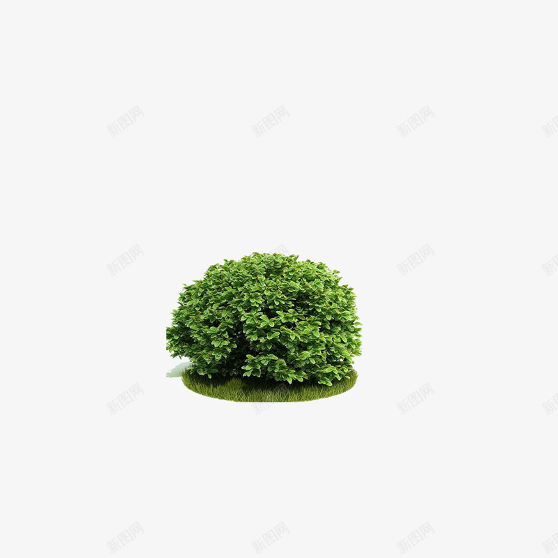 3D树木psd免抠素材_新图网 https://ixintu.com 3D 树 树木 绿色
