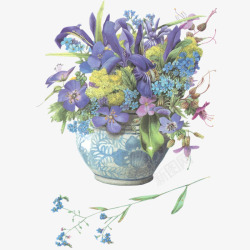 花瓶里的花朵花瓶里紫色的花朵插画高清图片