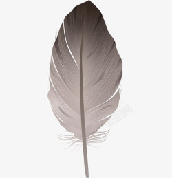 一片羽毛一片灰色羽毛矢量图高清图片