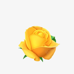 黄色玫瑰花黄色浪漫玫瑰花矢量图高清图片