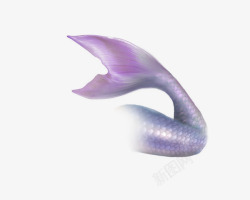 紫色美人鱼尾巴素材