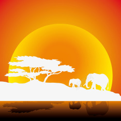 大象群非洲大草原夕阳下的大象群高清图片