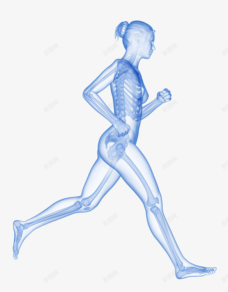 女人慢跑立体插画png免抠素材_新图网 https://ixintu.com 卫生保健 女人慢跑立体插画 生物医学 跑步 身体部位 骨骼系统