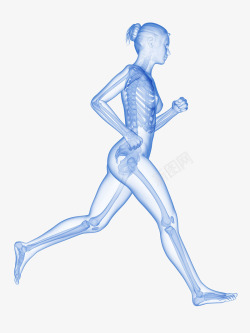 人体骨骼立体插画女人慢跑立体插画高清图片