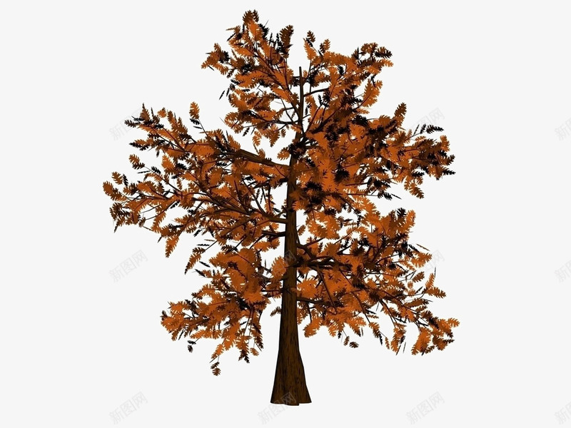 3D橡树png免抠素材_新图网 https://ixintu.com 产品实物 免费png素材 树干 树枝 橡树