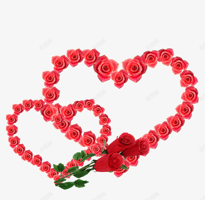 玫瑰花png免抠素材_新图网 https://ixintu.com 心型玫瑰花素材 心形玫瑰框 玫瑰 玫瑰花线框 红玫瑰