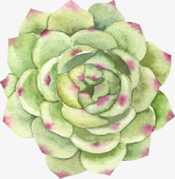 小清新插画广告卡通绿色盆栽素材