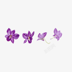 紫色兰花矢量图素材
