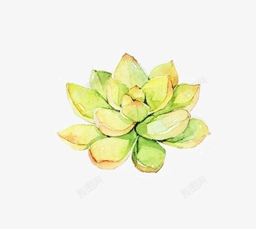 小清新插画广告卡通多肉盆栽png免抠素材_新图网 https://ixintu.com 卡通手绘装饰插画 多肉小清新插画 多肉植物 多肉植物促销宣传设计 广告设计 简约大气插画 绿色盆栽