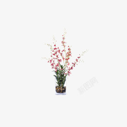 欧美流行插花绿植物鲜花软装素材