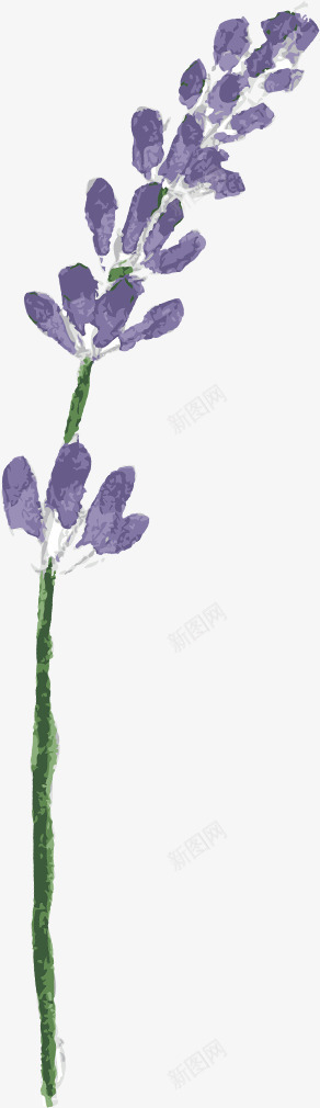 创意合成紫色的花卉紫罗兰水彩png免抠素材_新图网 https://ixintu.com 创意 合成 水彩 紫罗兰 紫色 花卉