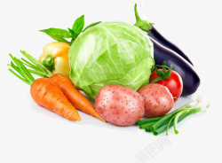 素描西红柿手绘3d水果水果图标蔬菜高清图片