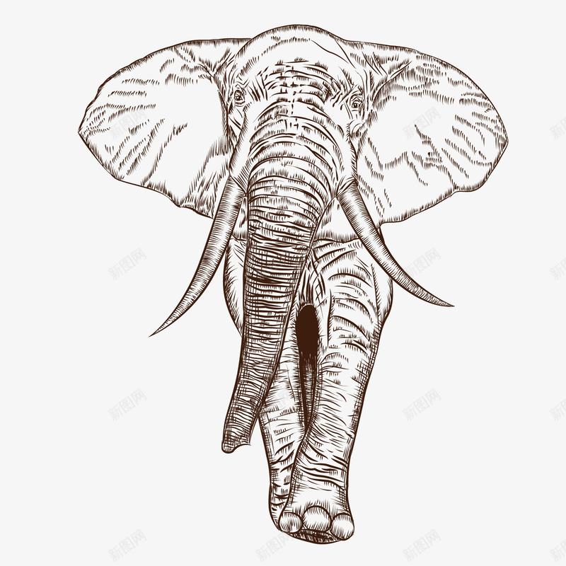 非洲大象png免抠素材_新图网 https://ixintu.com 动物 装饰 象鼻子 铅画
