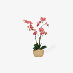欧美流行软装配饰艺术插花花艺素材