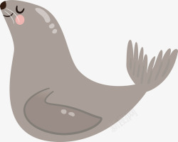 灰色海狮表演节目的海狮高清图片