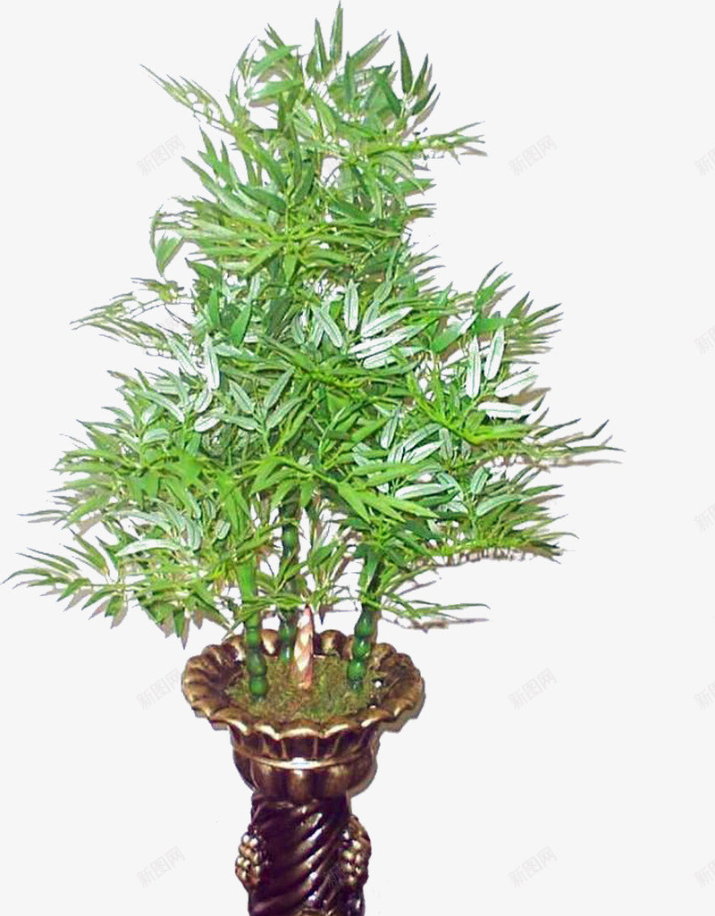 绿色植物png免抠素材_新图网 https://ixintu.com 3D贴图 效果图 效果图元素 盆景 绿化 绿植 绿色植物