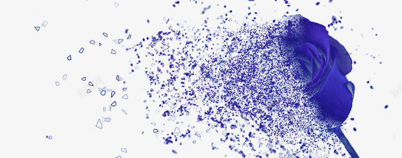 抽象蓝色玫瑰png免抠素材_新图网 https://ixintu.com 抽象 玫瑰 花 蓝色