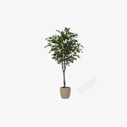 欧美流行插花绿植物鲜花软装素材