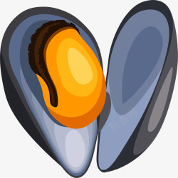 手绘蛤蚌美味灰色蛤蜊高清图片