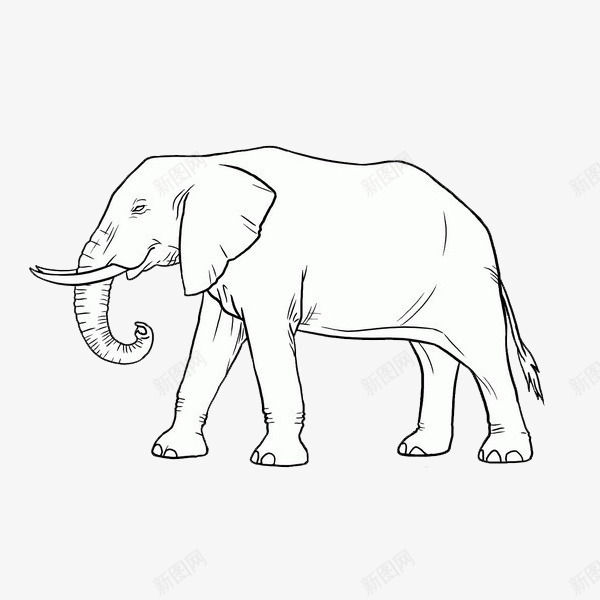 卡通大象图标png_新图网 https://ixintu.com 卡通 可爱 大象 大象简笔画 庞大 手绘 简笔画 耳朵 鼻子