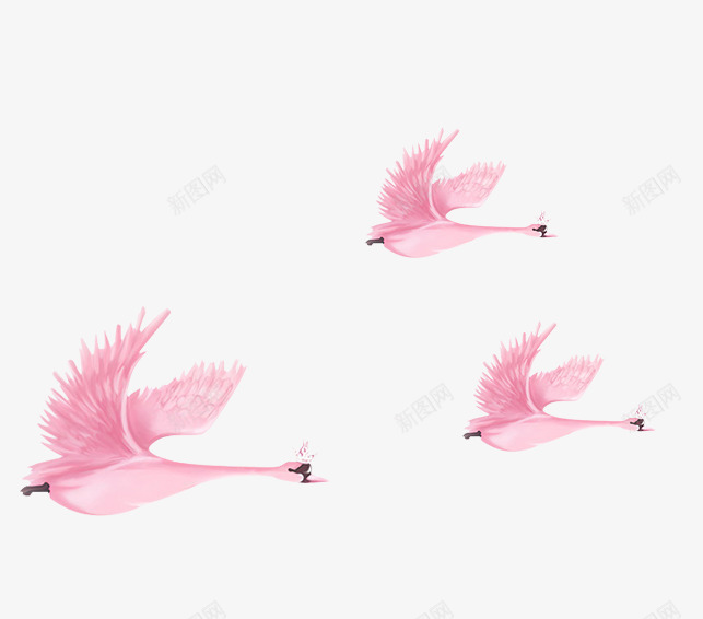 粉色手绘天鹅装饰图案png免抠素材_新图网 https://ixintu.com 免抠PNG 天鹅 手绘 粉色 装饰图案