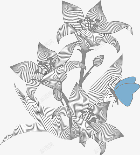 手绘灰色线条花朵png免抠素材_新图网 https://ixintu.com 手绘 手绘灰色线条花朵 手绘灰色线条花朵PNG 灰色 科技感 线条 花朵