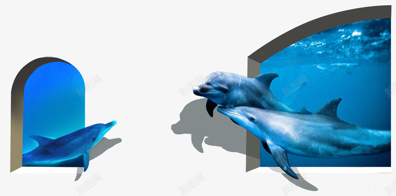 3D墙画蓝色海豚png免抠素材_新图网 https://ixintu.com 墙画 窗口 立体画 蓝色海豚
