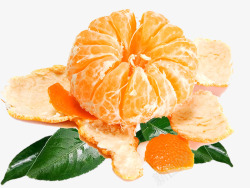 剥开的橘子完整图素材