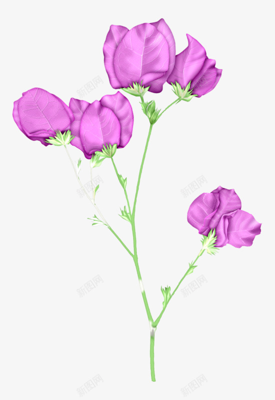 一束紫罗兰png免抠素材_新图网 https://ixintu.com 好看 手绘 紫罗兰卡通 紫色 花朵