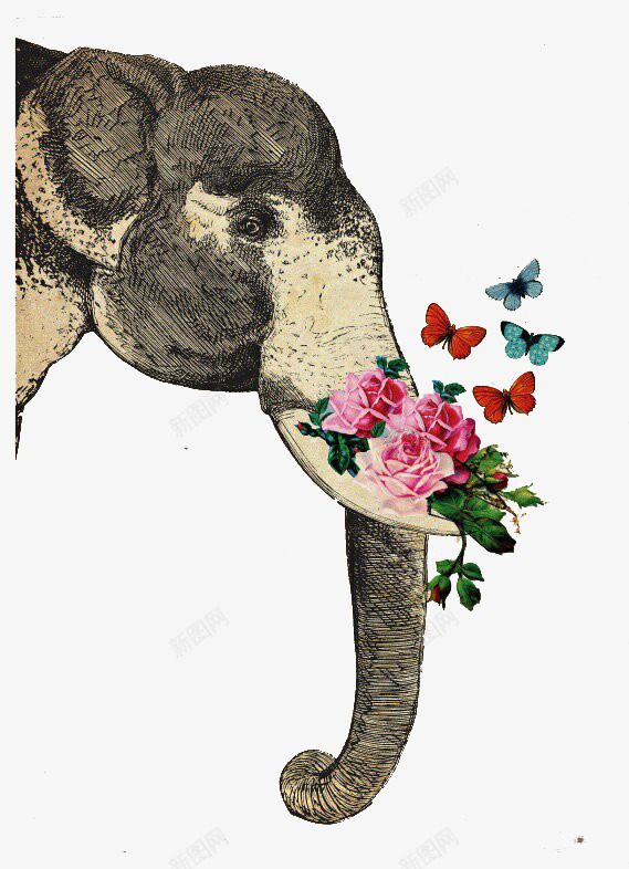 大象嘴里的花与蝴蝶png免抠素材_新图网 https://ixintu.com 大象 插画 花卉 蝴蝶