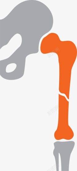 连接处橙灰色人体骨骼连接处高清图片