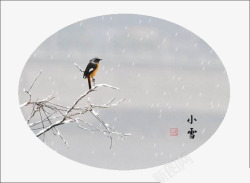 椭圆标志背景灰色小鸟小雪节气椭圆标志高清图片