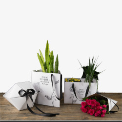 特色桌子放在桌子上的植物和袋子高清图片