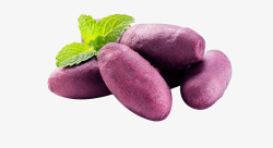 紫薯仔素材