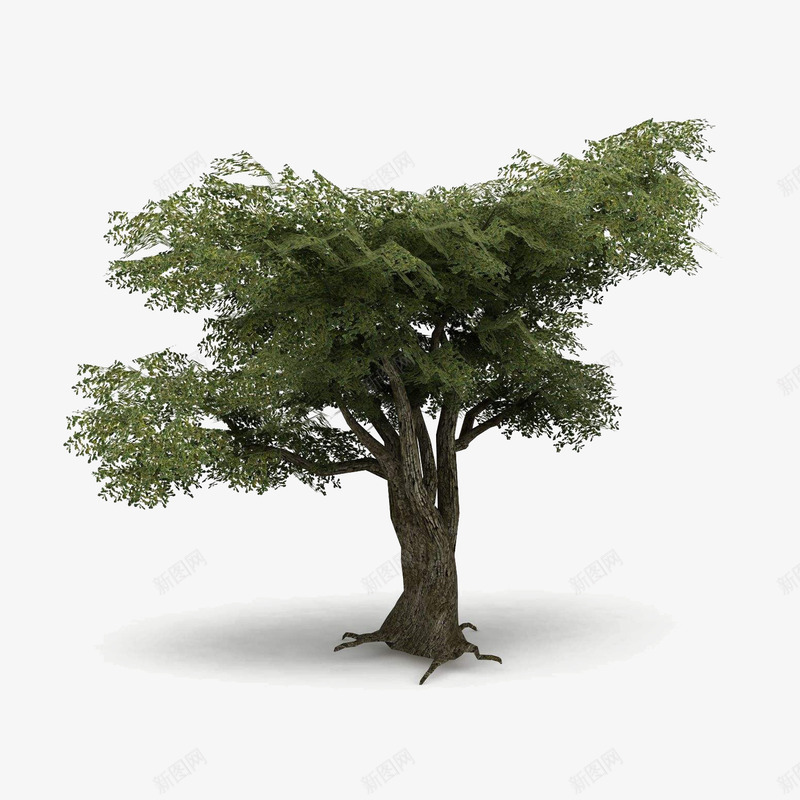 游戏中的树木png免抠素材_新图网 https://ixintu.com 3D树木 树木 游戏 游戏场景 游戏树 电子游戏