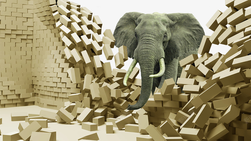 3D壁画png免抠素材_新图网 https://ixintu.com 3D 3D壁画 墙 大象 电视墙背景