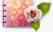 可爱的目录单证册花爱玫瑰植物情素材