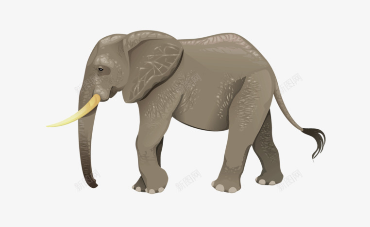 卡通手绘大象png免抠素材_新图网 https://ixintu.com 动物 动画动物大象 卡通大象 大象 手绘