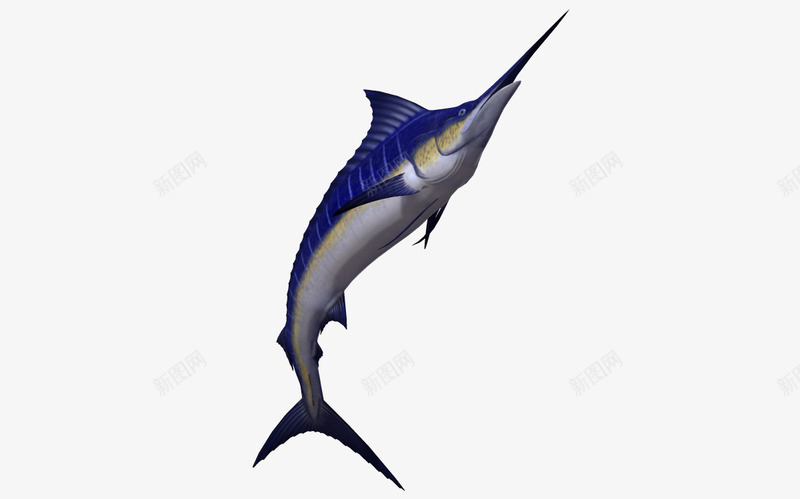 3d鱼类罗非鱼png免抠素材_新图网 https://ixintu.com 3D 3d卡通鱼 卡通 海洋动物 罗非鱼 蓝色海洋