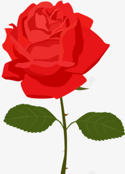 手绘红色的艳丽玫瑰素材