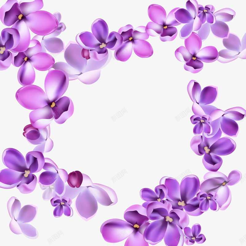 紫丁香矢量图eps免抠素材_新图网 https://ixintu.com 3D 花卉 装饰 逼真 矢量图