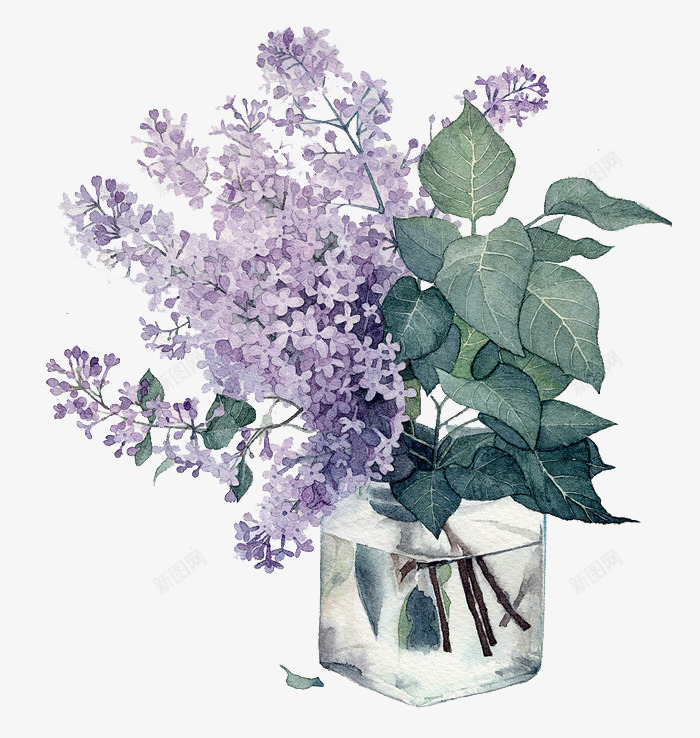 水杯中的植物png免抠素材_新图网 https://ixintu.com 紫色 绿叶 花朵