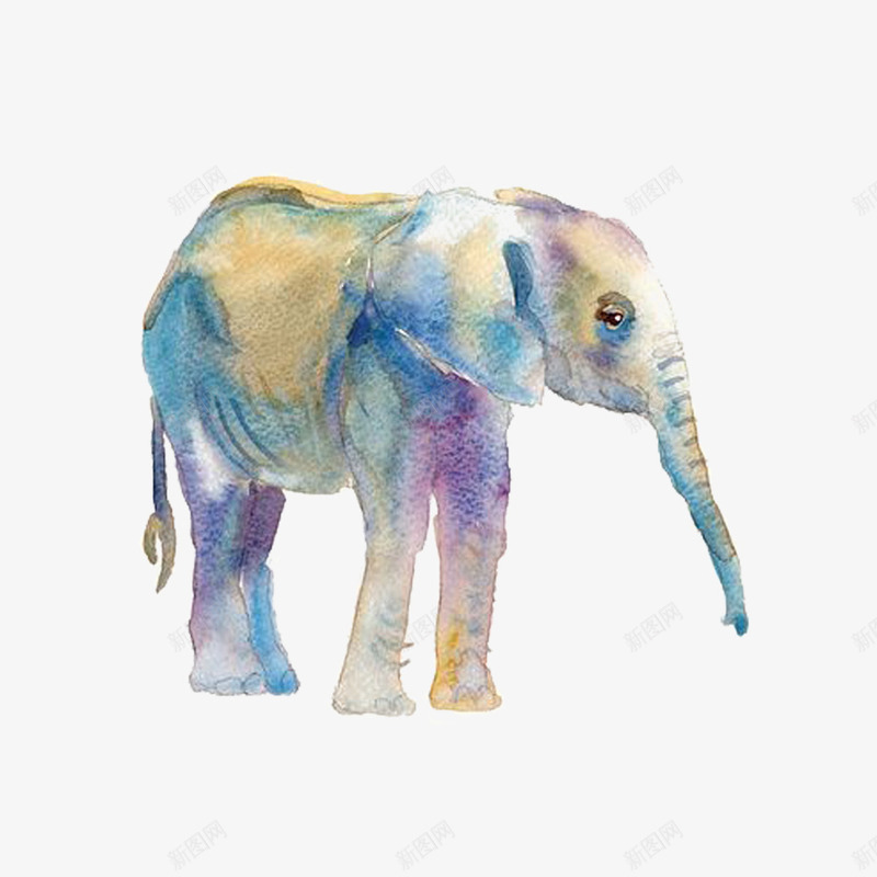 水彩手绘的大象png免抠素材_新图网 https://ixintu.com 动物 大象 彩色大象 手绘大象 水彩大象 矢量大象