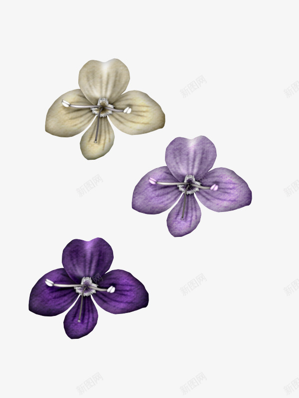 三款紫色紫罗兰花瓣png免抠素材_新图网 https://ixintu.com 浪漫 玫瑰花 紫色 装饰图案