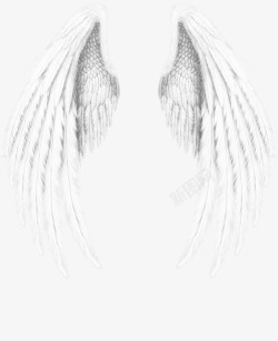 白灰色背景翅膀图案高清图片