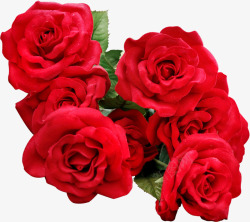 妖媚妖媚的红色玫瑰花丛高清图片