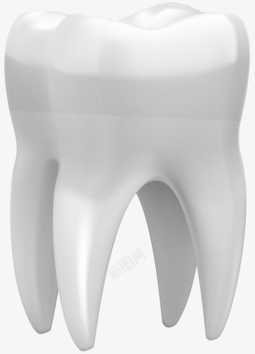 3D效果的牙齿png免抠素材_新图网 https://ixintu.com 3D 健康 医疗 牙医 牙齿