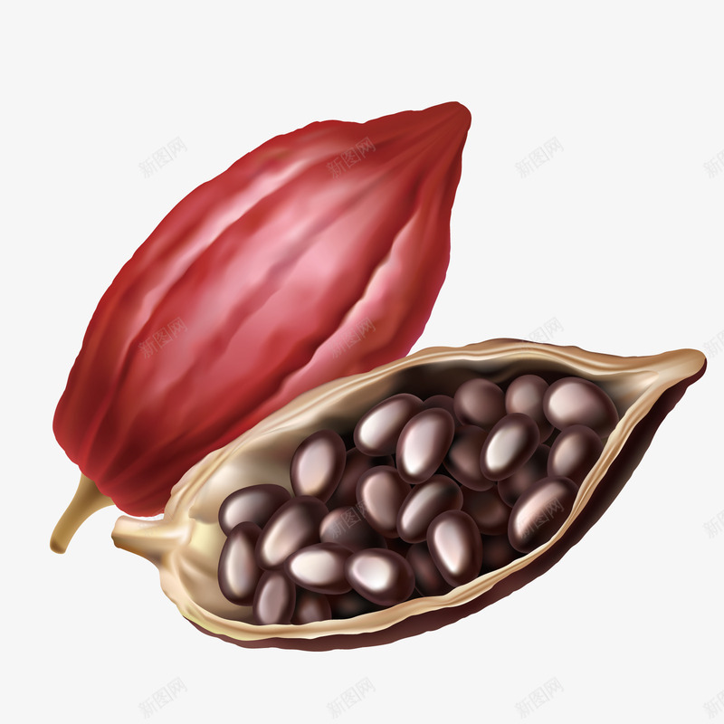 可可png免抠素材_新图网 https://ixintu.com 3D coco 巧克力 巧克力豆 植物 种植