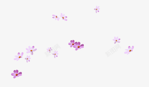 飞舞花瓣png免抠素材_新图网 https://ixintu.com 碎花 碎花墙纸 紫色 花飘落 装饰小花 飞舞