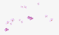 紫色碎花飞舞花瓣高清图片